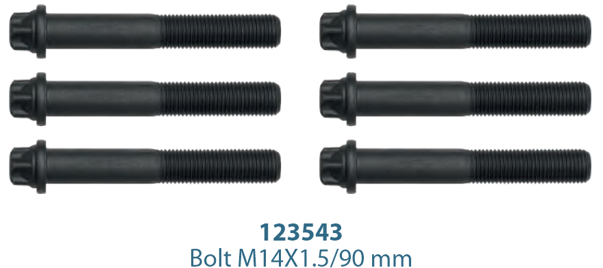 Caliper Cover Bolt Kit