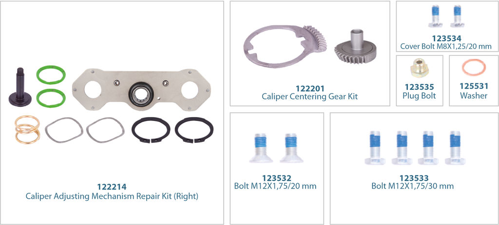 Caliper Mechanism Repair Kit (Right) 