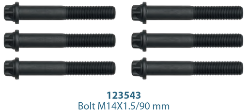 [122379] Caliper Cover Bolt Kit